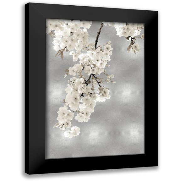 Bennett, Kate 11x14 Black Modern Framed Museum Art Print Titled - White Blossoms on Silver II