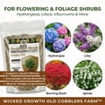 thumbnail image 4 of Old Cobblers Farm™ Wicked Growth Deciduous Shrubs Fertilizer – Enhances Seasonal Performance and Keeps Shrubs Healthy and Full (5 lbs | 10 lbs | 15 lbs | 20 lbs) (10lbs), 4 of 12