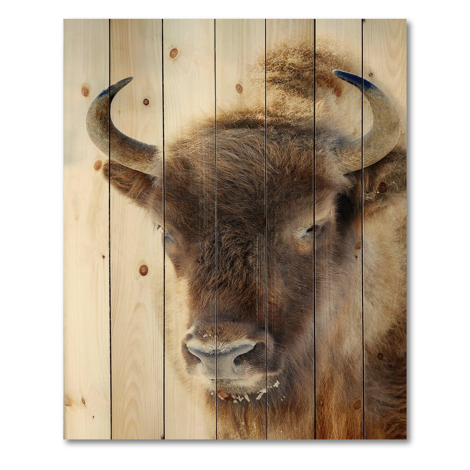 Designart 'Close UP Of Wild Bison' Farmhouse Print on Natural Pine Wood
