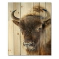 thumbnail image 3 of Designart 'Close UP Of Wild Bison' Farmhouse Print on Natural Pine Wood, 3 of 5