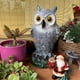 thumbnail image 4 of Señuelo de plástico realista de búho para espantapájaros | Repelente de aves para exteriores, para jardín, patio y jardín | Control humanitario de plagas para aves, ardillas y mapaches, 4 of 9