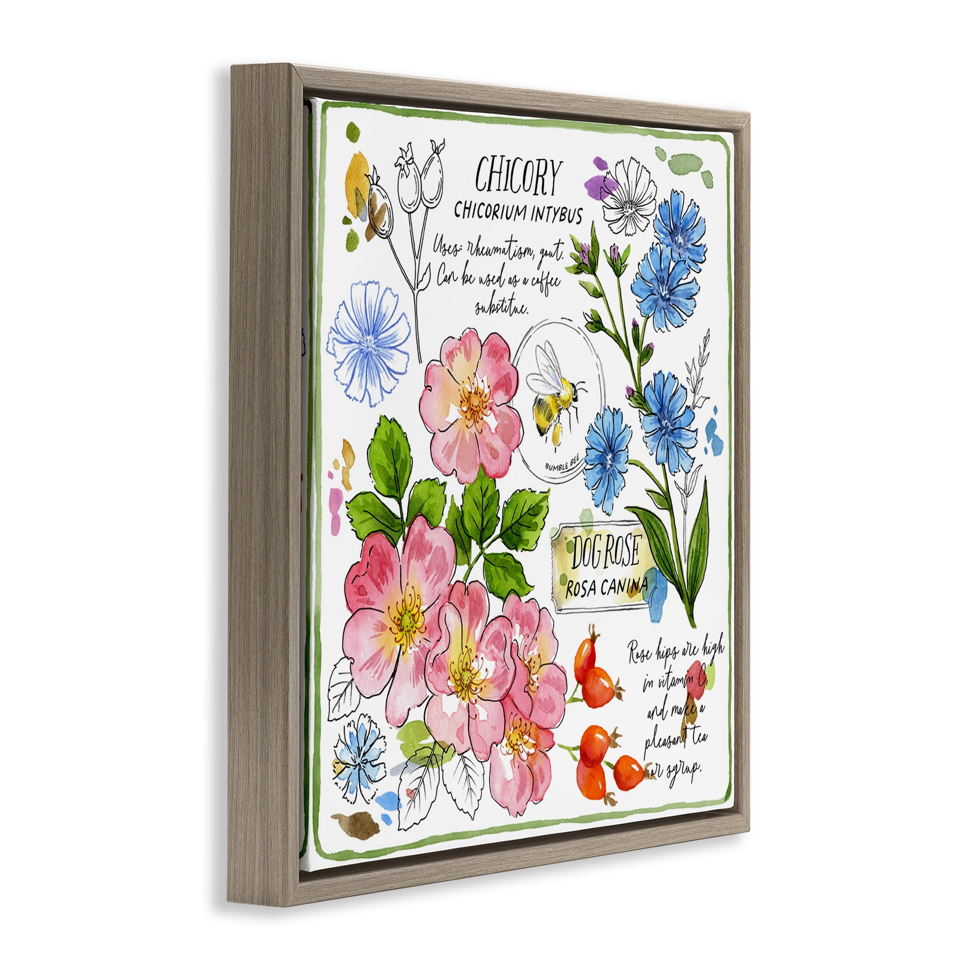 Stupell Industries Varied Herbs Benefits Plants & Flowers Painting Brown Floater Framed Canvas Art Print Wall Art, 18 x 18