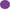 Purple, variant on Yvolution Neon 2in1 Roller Skates Inline and Quad, Girls, Kids Skates, Size 3-6, Purple