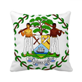 thumbnail image 1 of Belize National Emblem Country Throw Pillow Sleeping Sofa Cushion Cover, 1 of 3