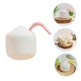 thumbnail image 5 of DRAFIDEEP 5Pcs Decorative Coconuts Resin Mini Coconuts Prop Educators, 5 of 8