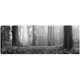 thumbnail image 1 of Cuadro Decorativo - Bosque de arce de Oregón, 1 of 3