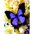 thumbnail image 1 of Kit de pintura de diamante 5D, bricolaje, flor de mariposa, taladro cuadrado completo, decoraciones para el hogar Tmvgtek decoración de arte en el hogar, 1 of 9