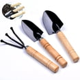 thumbnail image 1 of 3Pcs/Set Mini Garden Tools with Wooden Handle Shovels Claw Tool Kit, 1 of 8