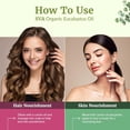 thumbnail image 3 of SVA Eucalyptus Essential Oil Organic – 16 Fl Oz – 100% Natural Organic Eucalyptus Oil for Hair, Face, Skin Care, Diffuser, Aromatherapy, Scalp, Body Massage, Soap and Candle Making, 3 of 8