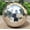 5-Inch Mosaic Surface Silver Gazing Ball, variant on 10-Inch Colorful Stainless Steel Gazing Ball – Vibrant Mirror Sphere for Home, Garden, Patio, Outdoor or Indoor Decor