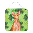 thumbnail image 1 of "Treasures Pharaoh Hound Metal Print, 6h x 6w, Día de San Patricio" Caroline's Treasures BB9889DS66, 1 of 1
