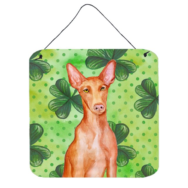 "Treasures Pharaoh Hound Metal Print, 6h x 6w, Día de San Patricio" Caroline's Treasures BB9889DS66