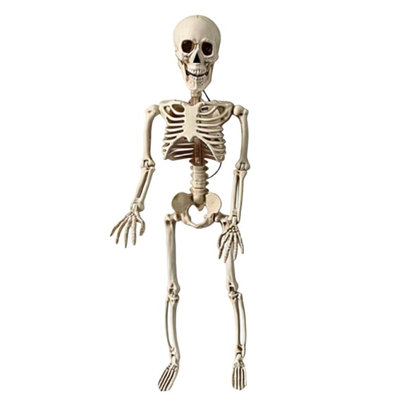 Halloween Skeleton Decorations, White Plastic Posable Skeleton for Indoor Outdoor Yard Hanging Halloween Decor, Spooky Creepy Haunted House and Halloween Party Decor, 1 Pack