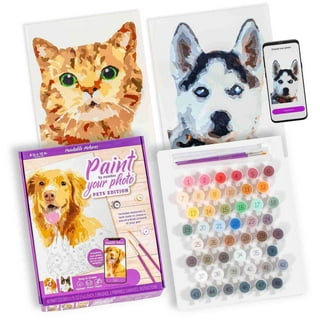 Ccfqiangtie Paint by Numbers for Kids Ages 8-12 Girls - Dog Animals Cute  Pet Puppy - DIY Oil Painting Kit Impression Retro Wall Decor Gift Kits  40x50cm : : Toys & Games