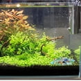 thumbnail image 4 of unbranded 1Jgo De Decorativas Multicolor Para Acuario Con Función Luminosa Y Durabilidad, 4 of 6