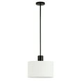 thumbnail image 6 of Evelyn&Zoe Industrial Metal & Fabric Pendant, 6 of 11