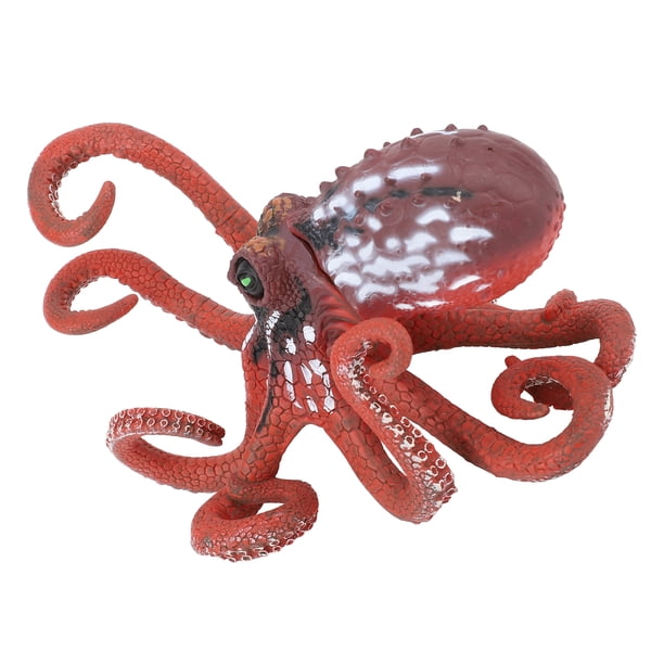 Modelo De Pulpo, Figura De Pulpo De PVC Portátil Versátil Para Estudio De Sala De Estar