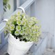 thumbnail image 1 of Flores artificiales para jardines exteriores con pinchos en el suelo, decoración blanca de trompeta para jardín, patio o macetas de interior, plástico resistente a la intemperie, 1 of 6