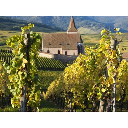 - Hunawihr, Alsatian Wine Route, Alsace Region, Haut-Rhin, France Print Wall Art By Walter Bibikow