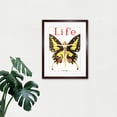 thumbnail image 3 of Life Magazine 1922 The Flapper Woman Butterfly Dancer Bright Vintage Cover Illustration Framed Wall Art Print Picture 12X16 inch, 3 of 4