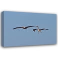 thumbnail image 1 of Lee Peterson 39x28 Gallery Wrapped Canvas Wall Art Titled - Pelicans in Flight II, 1 of 4
