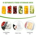 thumbnail image 5 of BEAMNOVA Chilled Condiment Server with Lid, 6 Tray Ice Chilled Fruit Salad Garnish Condiment Caddy Containers for Bar, Serving and Dishes (1 Pack), 5 of 9