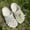 Sheer White Flowers (excluding shoes) z217, variant on Croc shoe charms 2025 new model, beautiful butterfly flower cluster colorful bead chain shoe charms, shoe accessories