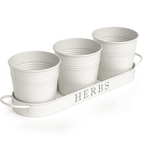 Set de macetas Barnyard Designs Farmhouse Herb Garden, color blanco