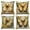 butterfly, variant on Dashan Fall Throw Pillow Covers 18x18 4 PCS Pumpkin Squirrel Thanksgiving Couch Cushion Pillowcases for Sofa Living Room
