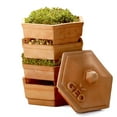 thumbnail image 2 of Tribest GEO Terradisiena 4 Holes Plant Germination Tray with 4-Tier Design, 2 of 6