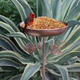 thumbnail image 2 of Baño para pájaros, regalo para pájaros, cuenco de agua resistente y elegante, comedero para pájaros con estaca para parque, patio, terraza al, 2 of 8