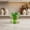 Green, variant on Zeiwohndc Glass Storage Jar with Lid,Candy Jars,Jewelry Box,Buffet Biscuit Containers