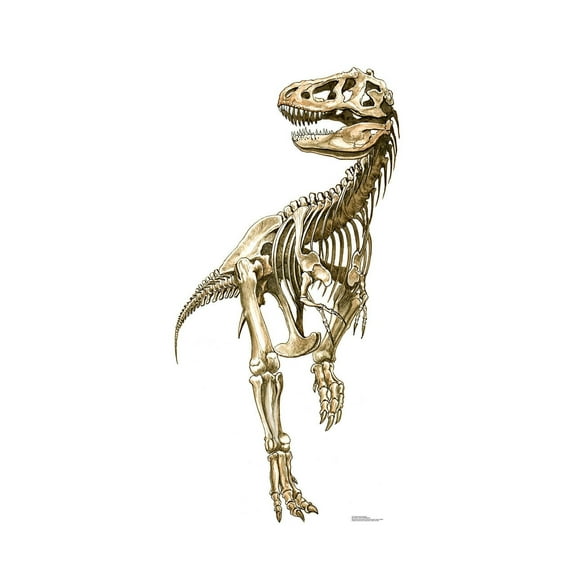 Advanced Graphics Tyrannosaurus Rex Skeleton Halloween Cardboard Stand-Up, 38" x 76"