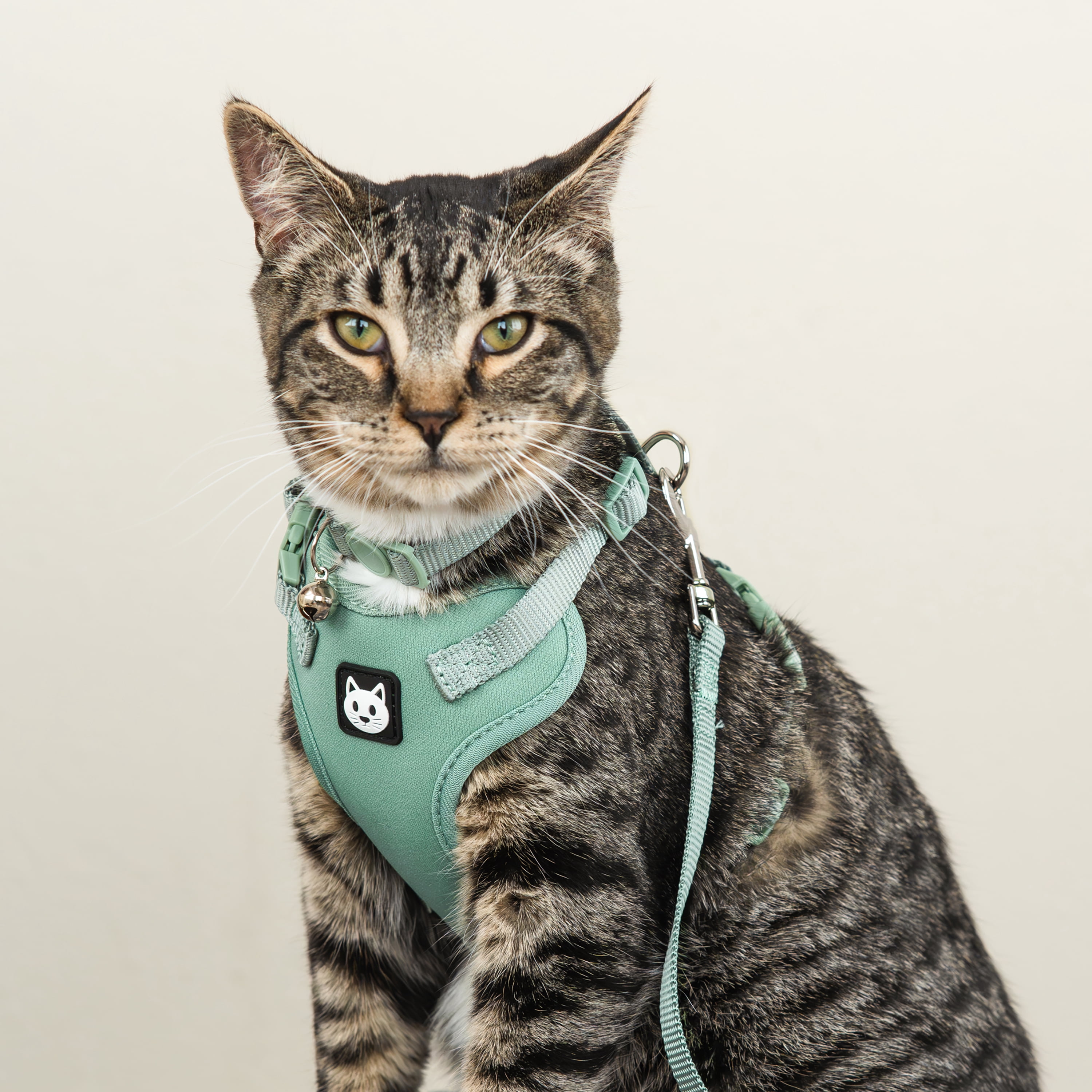 Vibrant Life Polyester Comfort Cat Harness and Leash Set, Green, One Size