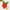 Red, variant on Puawkoer Bow Toddler Swimwear Set Girls Swimsuit Baby Floral Strap Kids Toddler Swimsuits Girls 4T Bikini Girls Beach Swimsuit Girls Swim Suit Size 16 Girls Swimwear