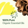 thumbnail image 5 of Plant Therapy Organic Fighter Essential Oil Blend 100% Pure, Undiluted, Natural Aromatherapy 10 mL (1/3 oz), 5 of 8