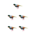 thumbnail image 1 of Toystoory Animated Feathered Bird Leiothrix Figurines Animal for Zoo Decor Garden Type2 NO2, 1 of 1