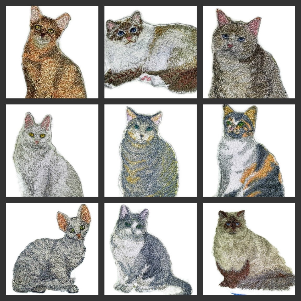 Amazing Custom Cat Portraits [Angle The Cat] Embroidered Iron On/Sew Patch (4.5" x 3.1") Made in USA