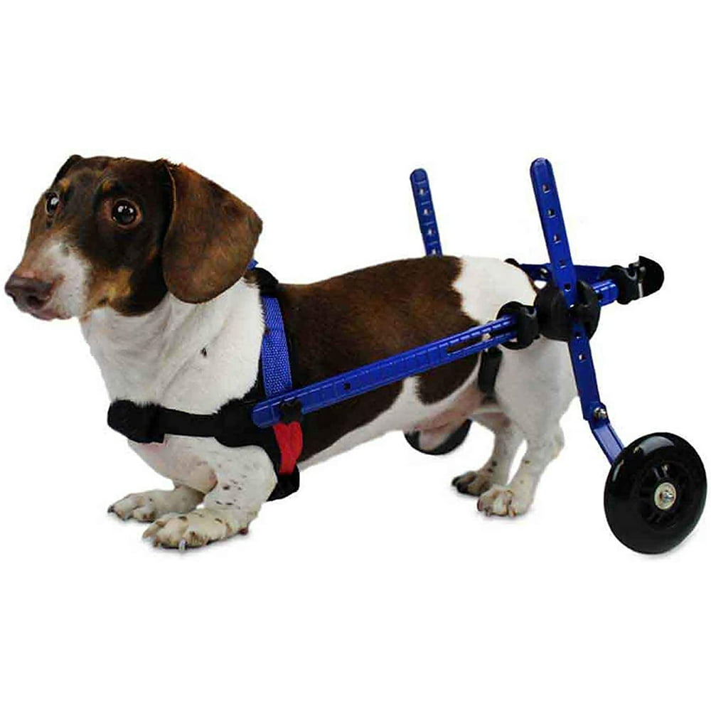 Dachshund Wheelchair for Small Dogs 230+ Pounds Veterinarian