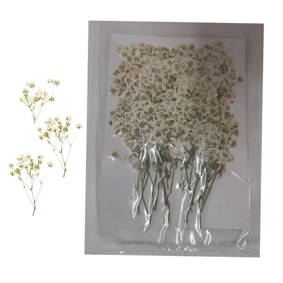 Topboutique 50 Pcs White Baby's Breath Flowers Bulk Dried Pressed Flowers Real Gypsophila Dried Flowers for Wedding Invitation, Scrapbooking, Art Craft DIY Making, Mini Size 2.3-3.1 inch