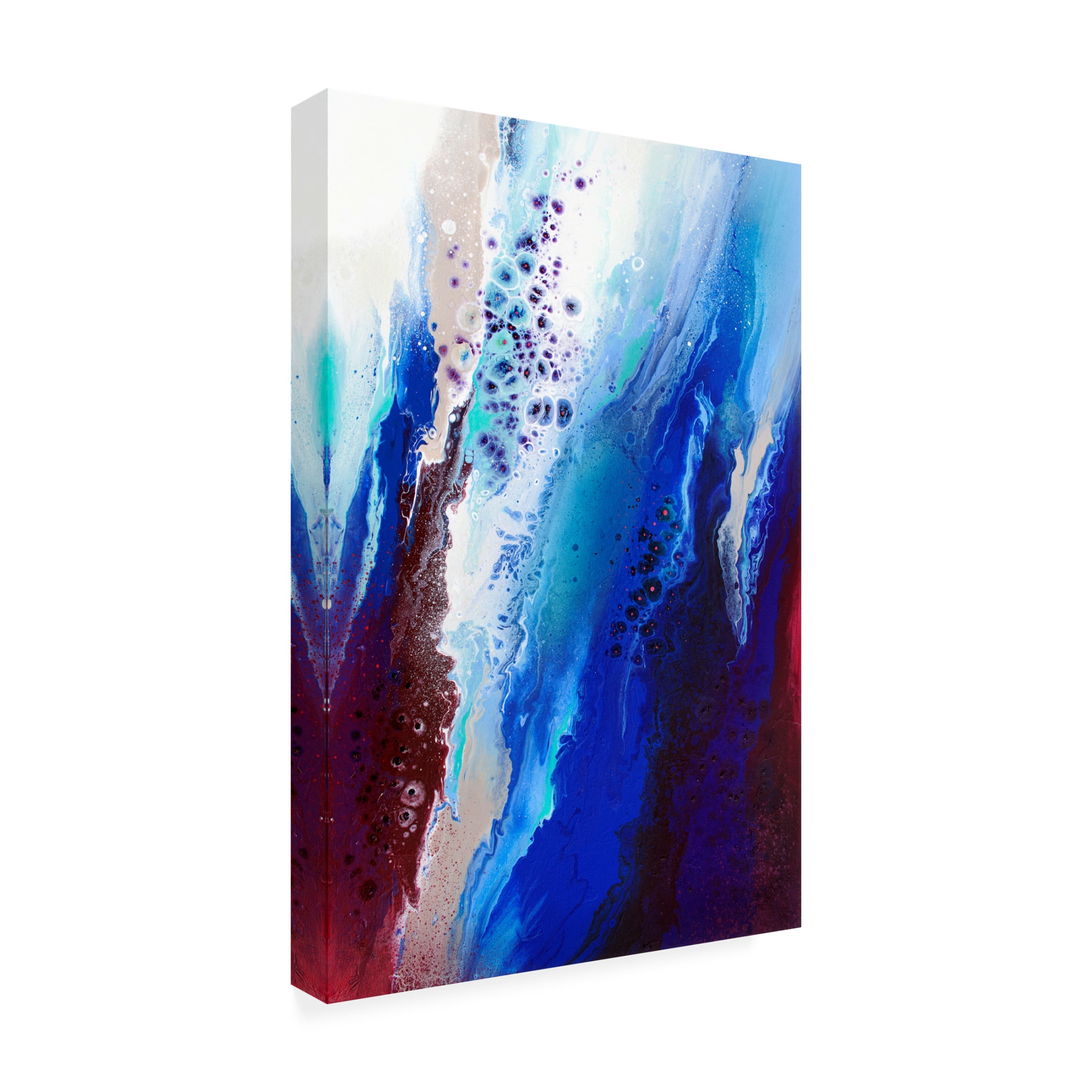 Trademark Fine Art Alyson Storms Acclivity Canvas Wall Art
