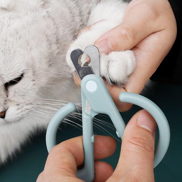 Animal Care