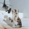 thumbnail image 4 of Juguete de palo de pluma de gato, caña de pescar retráctil interactiva para gato, palo de gato divertido, 4 of 5