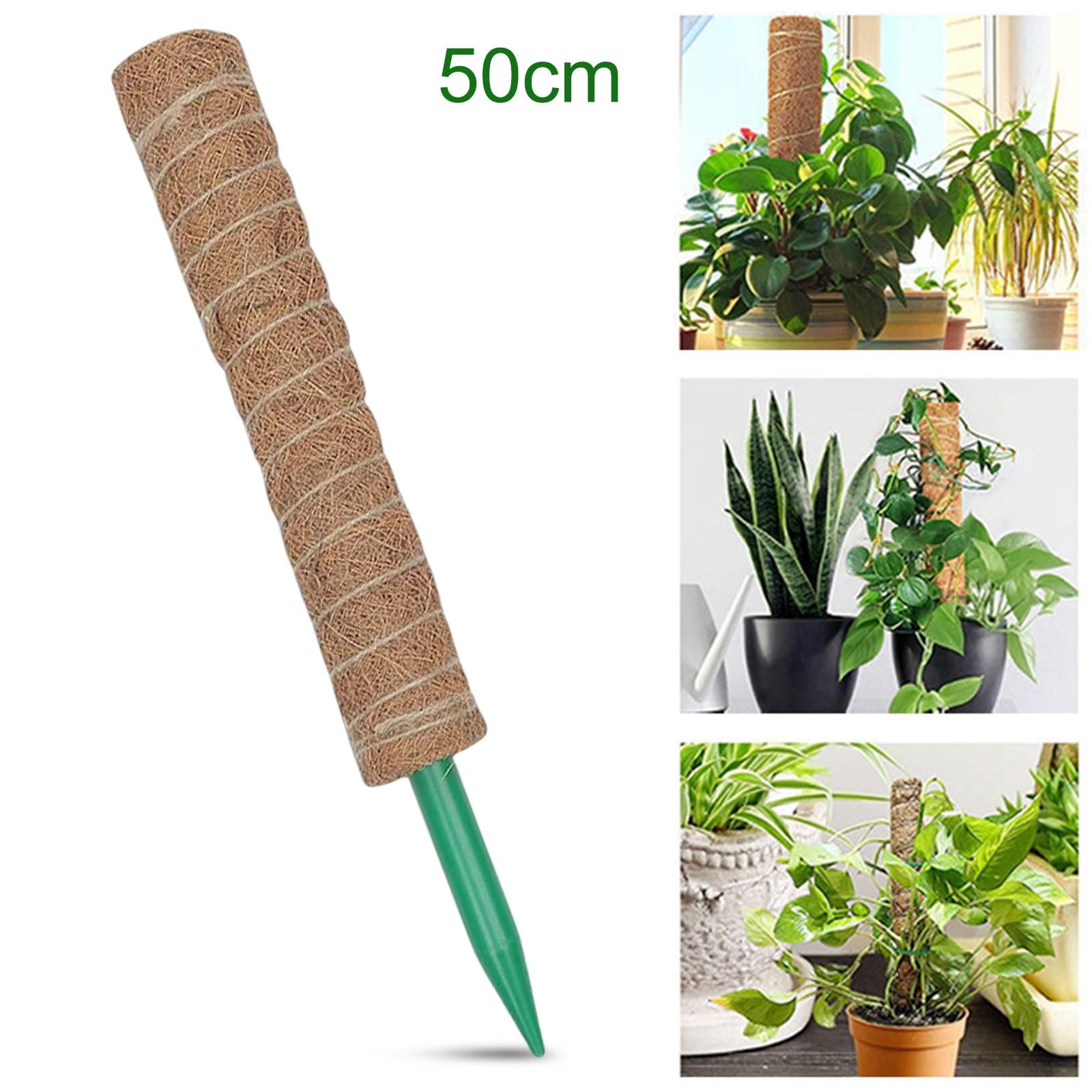 Toxx MOSS STICK 50SW Toxx MOSS STICK 50SW Amazon.com : 48 Inch Bendable Moss Pole