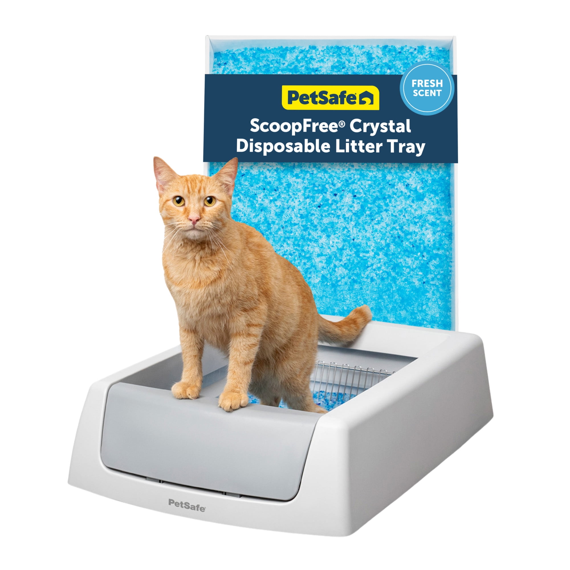 PetSafe ScoopFree Crystal Classic Self-Cleaning Cat Litter Box, Unbeatable Odor Control, Gray