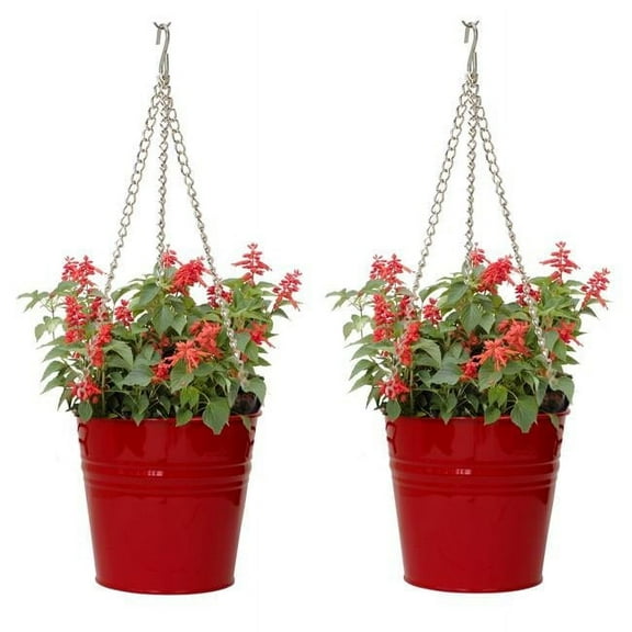 HOUSTON INTERNATIONAL TRADING  6151E XR 6151E XR S/2 Enameled Galvanized Steel Hanging Planter
