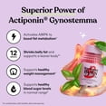 thumbnail image 4 of Lemme Burn - Metabolismo, quema de grasa del vientre + suplemento activador AMPK para hombres y mujeres con actiponina gynostemma clínicamente estudiada, extracto de té verde, vitaminas B6 y B12 - veg, 4 of 5