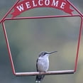 thumbnail image 3 of POP'S Hummingbird Swing, Welcome Red, 3 of 8