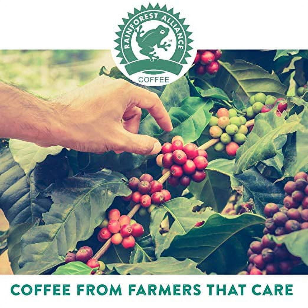 Tayst Medium Roast Coffee Pods | 30 ct. Medium & Heroic | 100% Compostable Keurig K-Cup compatible | Gourmet Coffee in Earth Friendly packaging