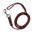 thumbnail image 3 of 3 Types de Laisse pour Animaux de Compagnie, Laisse en Cuir avec Cordon pour la Marche, la Course, la Formation Interactive, les Fournitures pour Animaux de Compagnie, Accessoires, 3 of 8